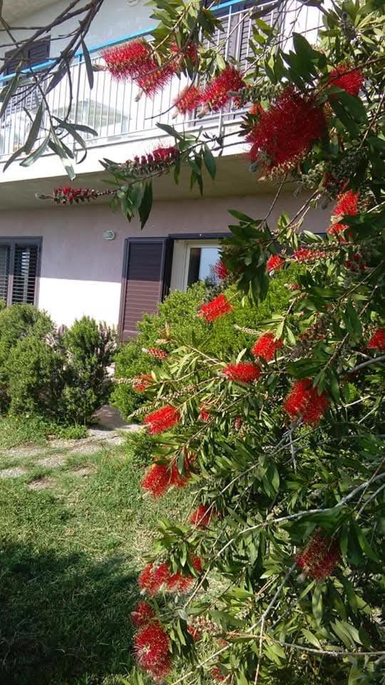 Casa Piedimonte Mare Etna Villa Fiumefreddo di Sicilia Exterior photo