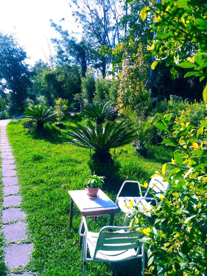 Casa Piedimonte Mare Etna Villa Fiumefreddo di Sicilia Exterior photo